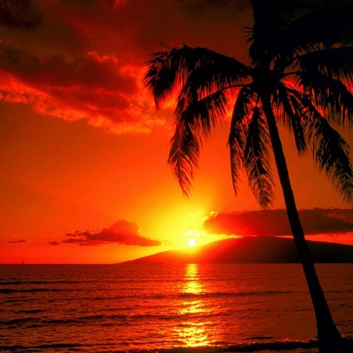 f:id:marqs:20150202175128j:plain
